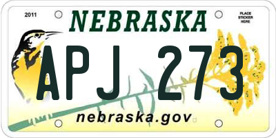 NE license plate APJ273
