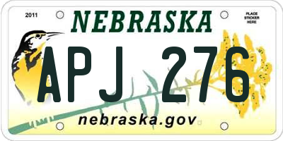 NE license plate APJ276