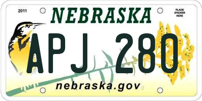 NE license plate APJ280