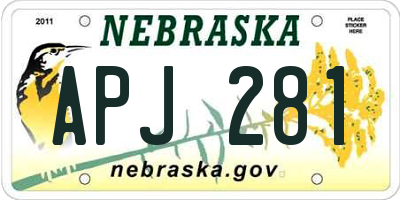 NE license plate APJ281