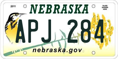 NE license plate APJ284