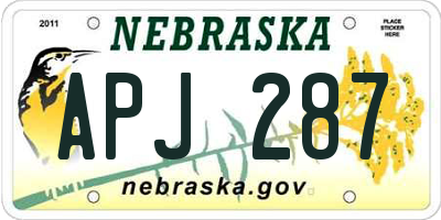 NE license plate APJ287