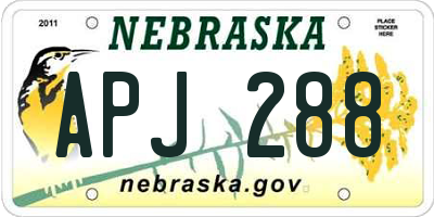 NE license plate APJ288