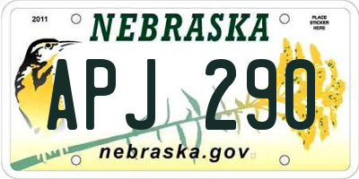 NE license plate APJ290