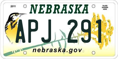 NE license plate APJ291