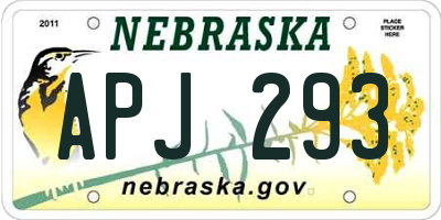 NE license plate APJ293