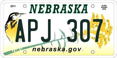 NE license plate APJ307