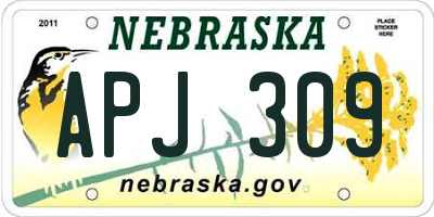 NE license plate APJ309