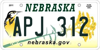 NE license plate APJ312