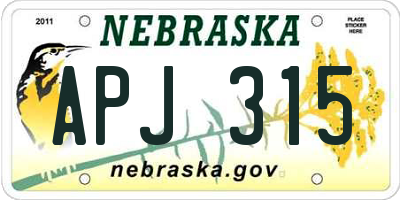NE license plate APJ315
