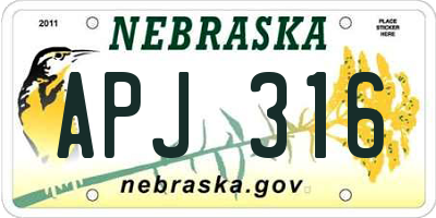 NE license plate APJ316