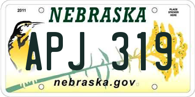NE license plate APJ319