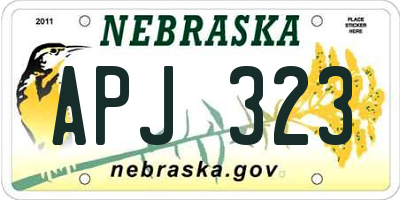 NE license plate APJ323