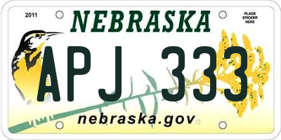 NE license plate APJ333