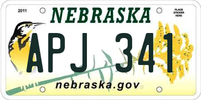 NE license plate APJ341