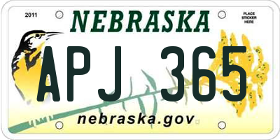 NE license plate APJ365