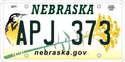 NE license plate APJ373