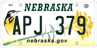 NE license plate APJ379