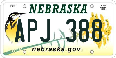 NE license plate APJ388