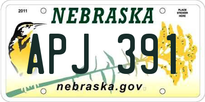 NE license plate APJ391