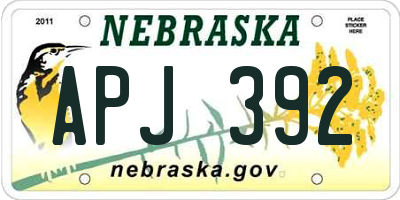 NE license plate APJ392