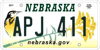 NE license plate APJ411