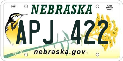 NE license plate APJ422