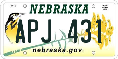 NE license plate APJ431