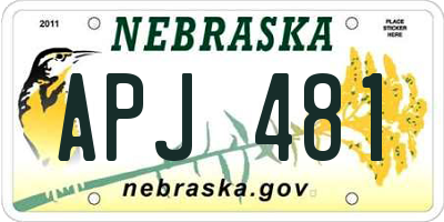 NE license plate APJ481