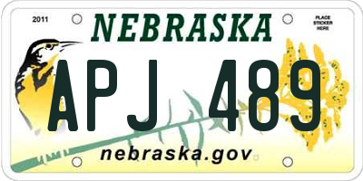 NE license plate APJ489