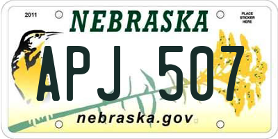 NE license plate APJ507