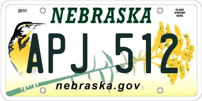 NE license plate APJ512