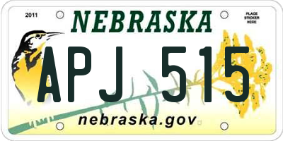 NE license plate APJ515