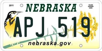 NE license plate APJ519