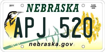 NE license plate APJ520