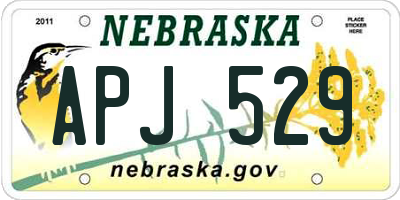 NE license plate APJ529