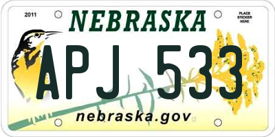 NE license plate APJ533