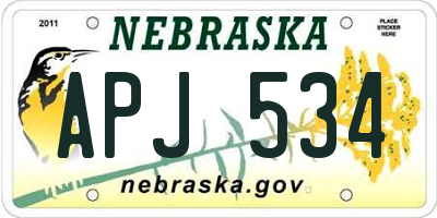 NE license plate APJ534