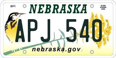NE license plate APJ540