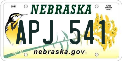 NE license plate APJ541