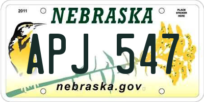 NE license plate APJ547