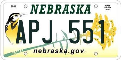 NE license plate APJ551
