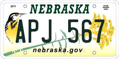 NE license plate APJ567