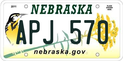 NE license plate APJ570