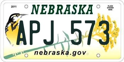 NE license plate APJ573