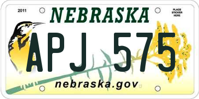 NE license plate APJ575