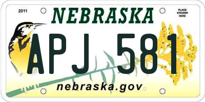 NE license plate APJ581