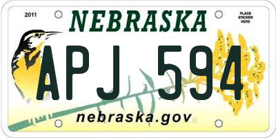 NE license plate APJ594