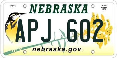 NE license plate APJ602