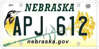 NE license plate APJ612